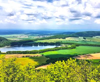 Eladó Mezőgazdasági és erdei telkek, Mezőgazdasági és erdei telkek, Tr