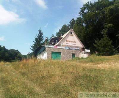 Eladó Nyaraló, Nyaraló, Nové Mesto nad Váhom, Szlovákia