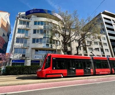 Kiadó Üzlethelység, Üzlethelység, Námestie slobody, Bratislava - Staré