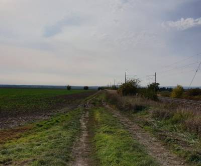 Eladó Mezőgazdasági és erdei telkek, Mezőgazdasági és erdei telkek, Pe