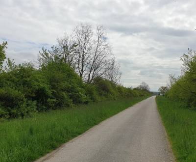 Eladó Mezőgazdasági és erdei telkek, Mezőgazdasági és erdei telkek, Pe