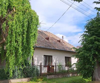 Eladó Családi ház, Családi ház, Levice, Szlovákia