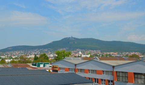 Kiadó Irodahelység, Irodahelység, Levická, Nitra, Szlovákia