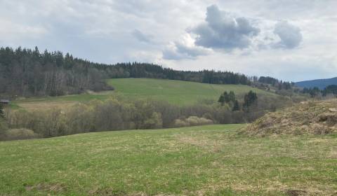 Eladó Üdülőtelkek, Üdülőtelkek, Dolný Kubín, Szlovákia