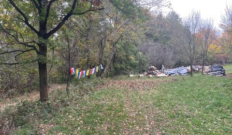 Eladó Üdülőtelkek, Üdülőtelkek, Nové Mesto nad Váhom, Szlovákia