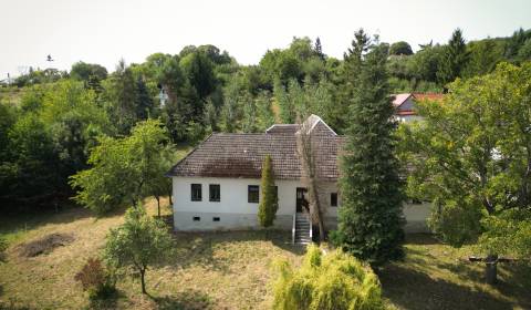 Eladó Nyaraló, Nyaraló, Hrubá Strana, Nové Mesto nad Váhom, Szlovákia