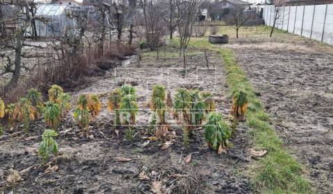 Eladó Építési telek, Malacky, Szlovákia