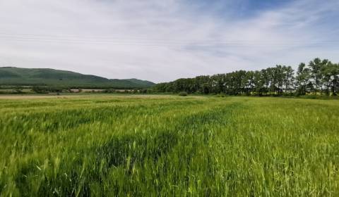 Eladó Építési telek, Építési telek, Stankovská, Vranov nad Topľou, Szl