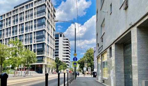 Eladó 1 szobás lakás, 1 szobás lakás, Radlinského, Bratislava - Staré 