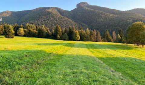 Eladó Mezőgazdasági és erdei telkek, Mezőgazdasági és erdei telkek, Ži