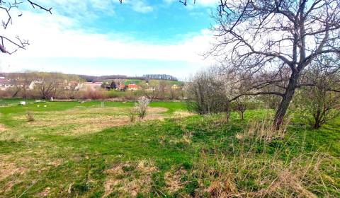 Eladó Építési telek, Építési telek, Neusiedl am See, Ausztria