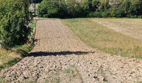 Eladó Mezőgazdasági és erdei telkek, Mezőgazdasági és erdei telkek, Šu