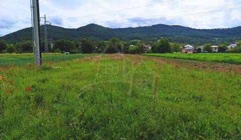 Eladó Mezőgazdasági és erdei telkek, Mezőgazdasági és erdei telkek, Hu