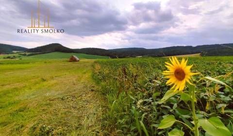 Eladó Mezőgazdasági és erdei telkek, Mezőgazdasági és erdei telkek, Sa