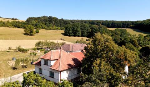 Eladó Családi ház, Családi ház, Chvojnica, Myjava, Szlovákia