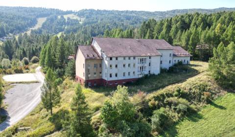 Eladó Szállodák és panziók, Szállodák és panziók, Sabinov, Szlovákia