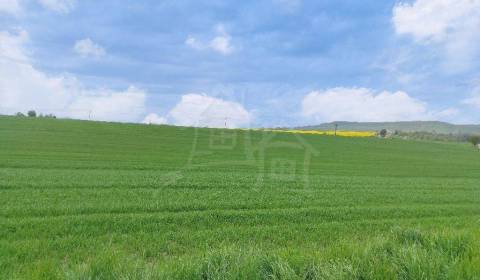 Eladó Mezőgazdasági és erdei telkek, Mezőgazdasági és erdei telkek, Ve