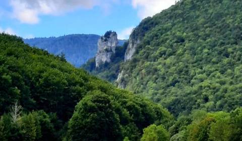 Eladó Építési telek, Építési telek, Michalovce, Szlovákia