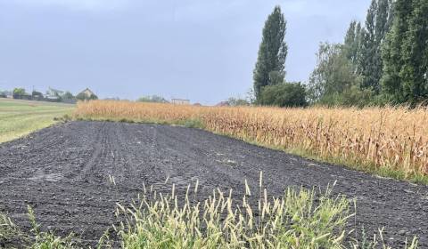 Eladó Építési telek, Építési telek, Dunajská Streda, Szlovákia