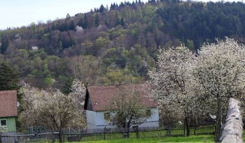 Eladó Családi ház, Családi ház, Detva, Szlovákia