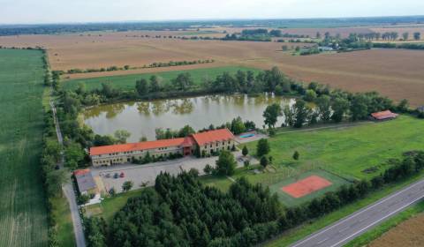 Eladó Szállodák és panziók, Szállodák és panziók, neuvedená, Komárno, 