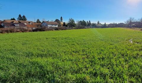 Eladó Építési telek, Építési telek, Gondovo, Levice, Szlovákia