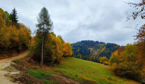 Eladó Üdülőtelkek, Üdülőtelkek, Veľké Rovné, Bytča, Szlovákia