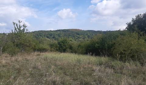 Eladó Üdülőtelkek, Üdülőtelkek, Horné Jabloňovce, Levice, Szlovákia