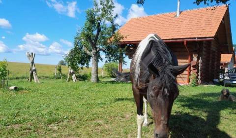 Eladó Nyaraló, Nyaraló, Krupina, Szlovákia