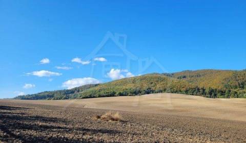 Eladó Mezőgazdasági és erdei telkek, Mezőgazdasági és erdei telkek, Pú