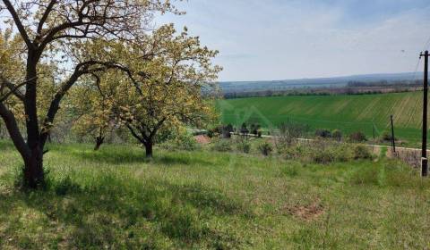 Eladó Kertek, Kertek, Nové Zámky, Szlovákia