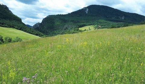 Eladó Kertek, Kertek, Považská Bystrica, Szlovákia