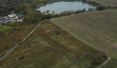 Eladó Mezőgazdasági és erdei telkek, Mezőgazdasági és erdei telkek, Hv