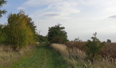 Eladó Üdülőtelkek, Üdülőtelkek, Potočná, Pezinok, Szlovákia