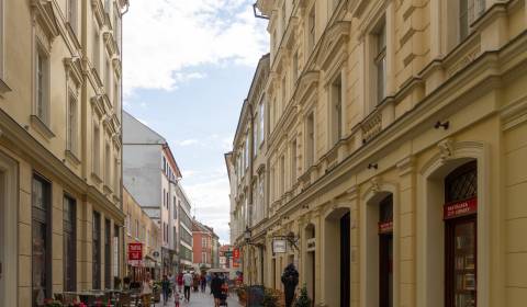 Eladó Vendéglátóipari egység, Vendéglátóipari egység, Laurinská, Brati