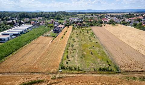 Eladó Építési telek, Építési telek, Senecká, Senec, Szlovákia