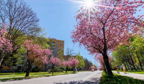 Eladó 2 szobás lakás, 2 szobás lakás, Soblahovská, Trenčín, Szlovákia