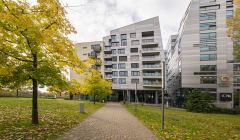 Kiadó Garázsok, Garázsok, Dvořákovo nábrežie, Bratislava - Staré Mesto