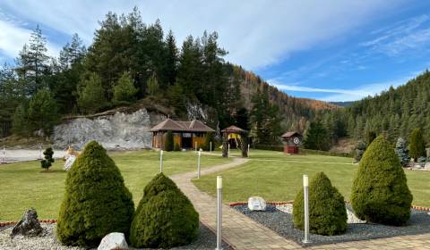 Eladó Szállodák és panziók, Szállodák és panziók, Hlavná, Poprad, Szlo