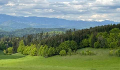 Eladó Mezőgazdasági és erdei telkek, Mezőgazdasági és erdei telkek, Ba