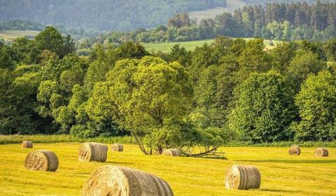 Eladó Mezőgazdasági és erdei telkek, Mezőgazdasági és erdei telkek, Re