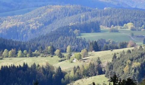 Eladó Mezőgazdasági és erdei telkek, Mezőgazdasági és erdei telkek, Se