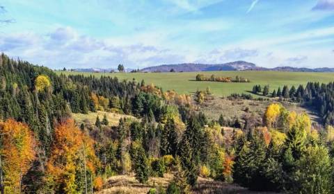 Eladó Mezőgazdasági és erdei telkek, Mezőgazdasági és erdei telkek, Ži