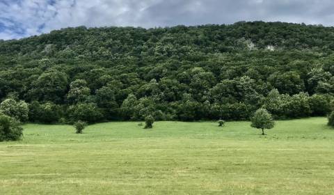 Eladó Mezőgazdasági és erdei telkek, Mezőgazdasági és erdei telkek, Ro