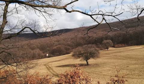 Eladó Mezőgazdasági és erdei telkek, Mezőgazdasági és erdei telkek, Sv