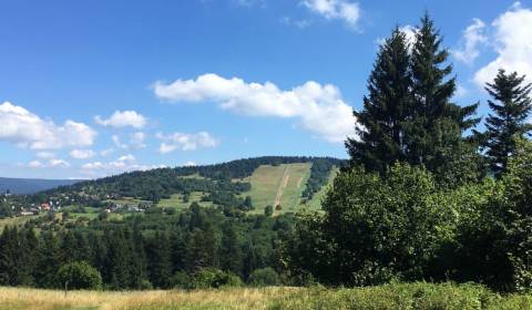 Eladó Mezőgazdasági és erdei telkek, Mezőgazdasági és erdei telkek, Sv