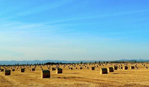 Eladó Mezőgazdasági és erdei telkek, Mezőgazdasági és erdei telkek, Le