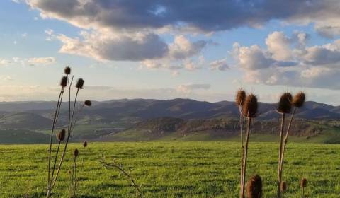 Eladó Mezőgazdasági és erdei telkek, Mezőgazdasági és erdei telkek, Sn