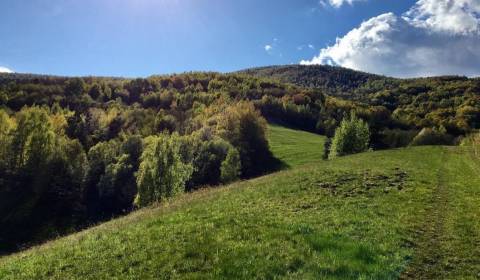 Eladó Mezőgazdasági és erdei telkek, Mezőgazdasági és erdei telkek, Re