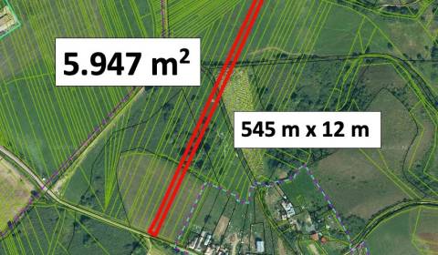 Eladó Mezőgazdasági és erdei telkek, Mezőgazdasági és erdei telkek, Ri